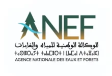 Agence Nationale des Eaux et Forêts