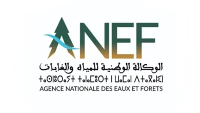 Agence Nationale des Eaux et Forêts