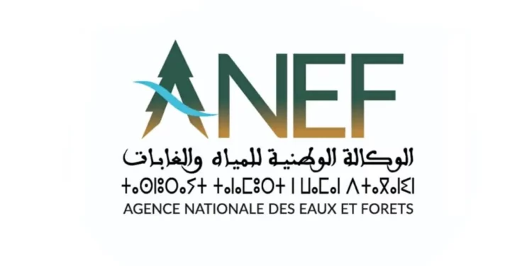 Agence Nationale des Eaux et Forêts